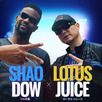 Imagem da fonte — Lotus Juice & Shao Dow