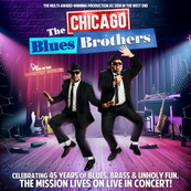 The Chicago Blues Brothers