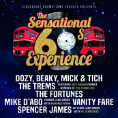 The Sensational 60s Experience