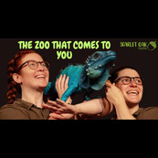 The Zoo That Comes To You